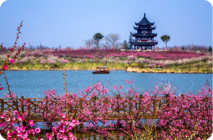 拓展基地：海湾国家森林